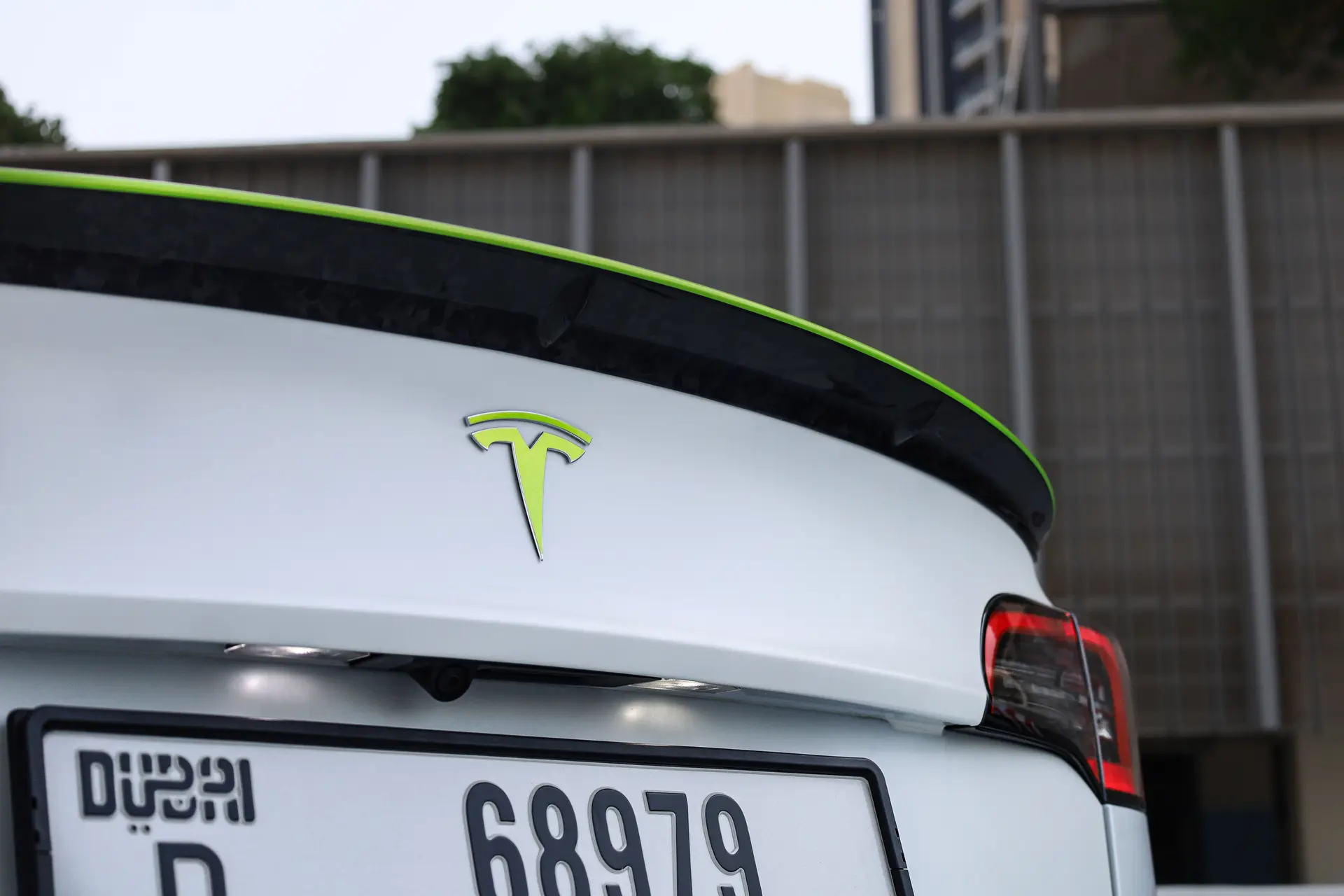 4_Kopiya_IMG_6706_b2a2626442